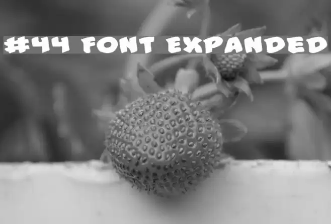 #44 Font Expanded Font examples