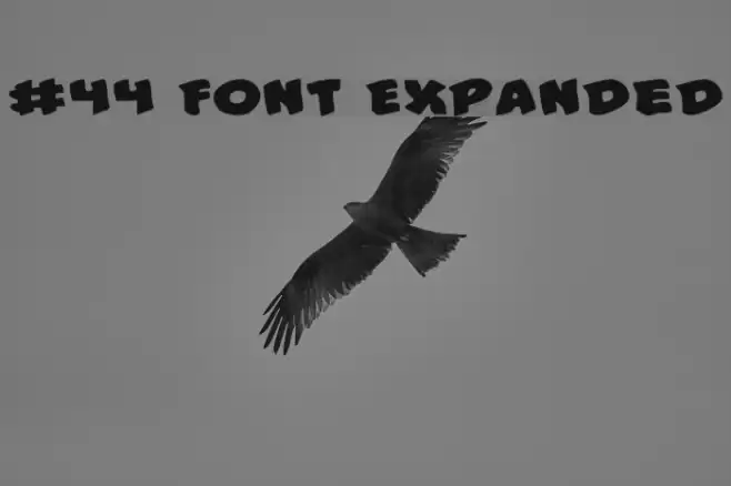 #44 Font Expanded Font examples