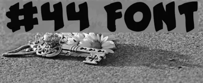 #44 Font Font examples