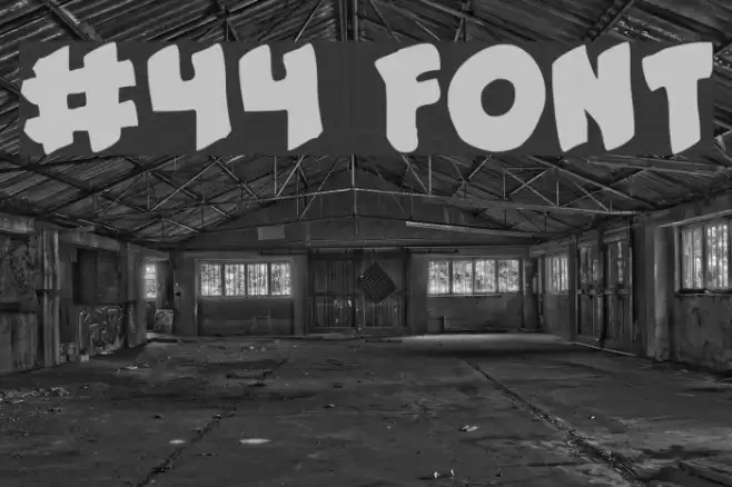 #44 Font Font examples