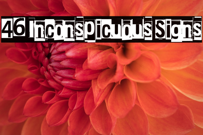 46 Inconspicuous Signs Example 2