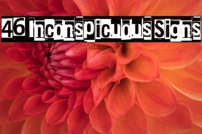 46 Inconspicuous Signs Example 2
