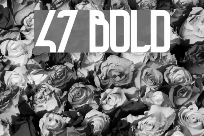 47 Bold Font examples