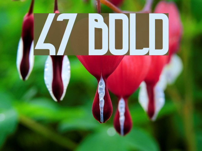 47 Bold Font examples