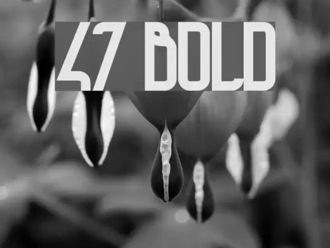 47 Bold Font examples