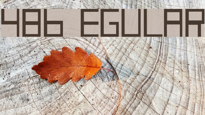486 Regular Font examples