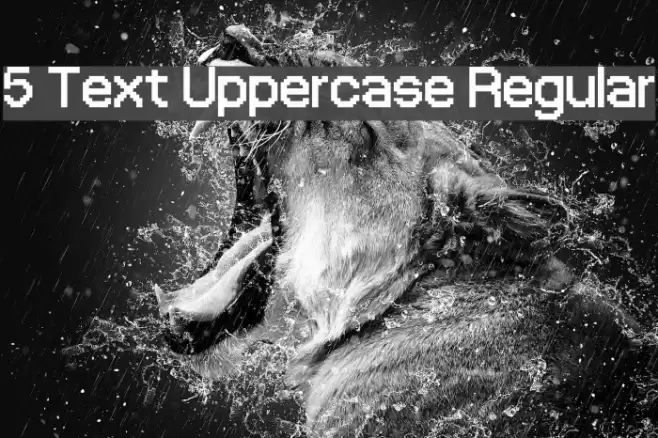 5 Text Uppercase Regular फ़ॉन्ट examples