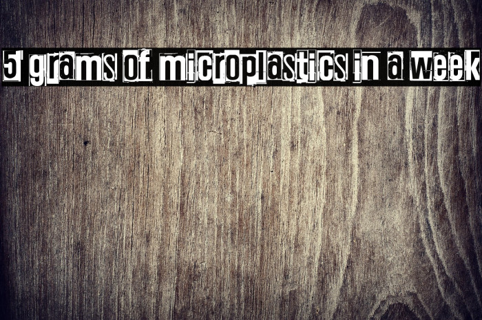 5 grams of microplastics in a week Example 2