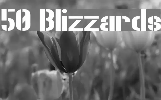 50 Blizzards Font examples