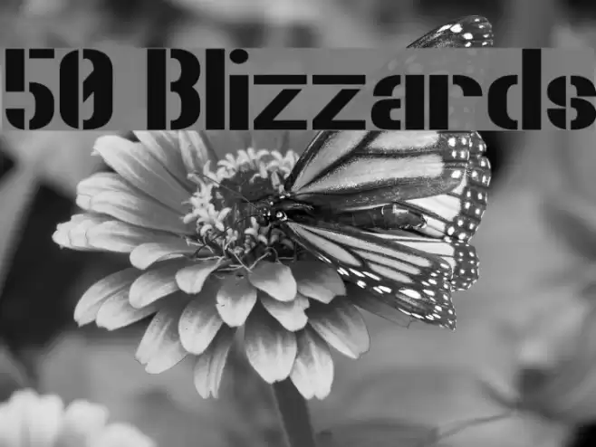 50 Blizzards Font examples