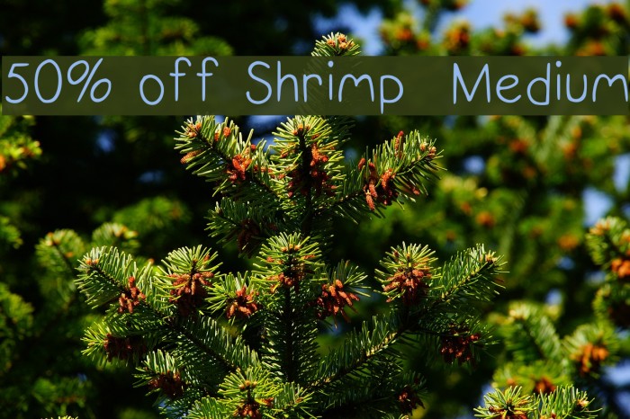 50% off Shrimp Medium Font examples