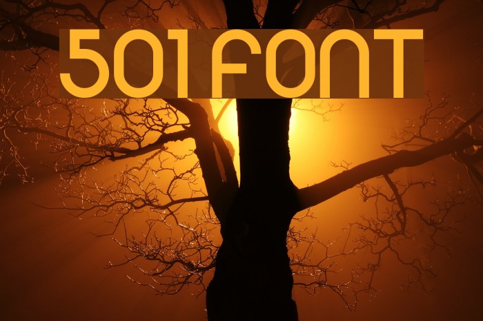 501 Font examples