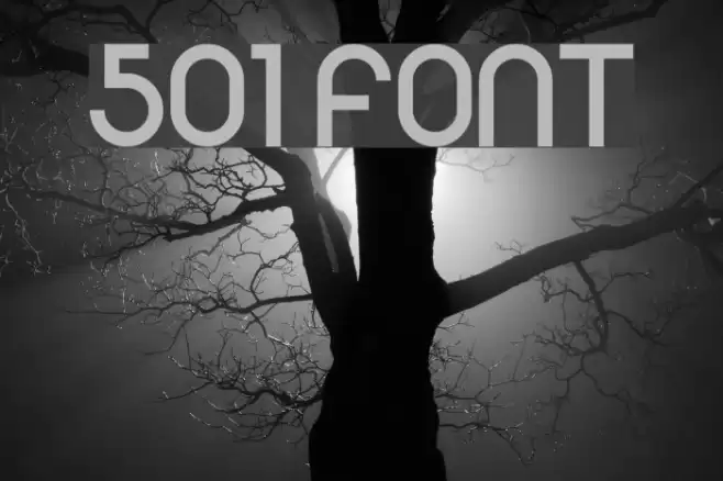 501 Font examples