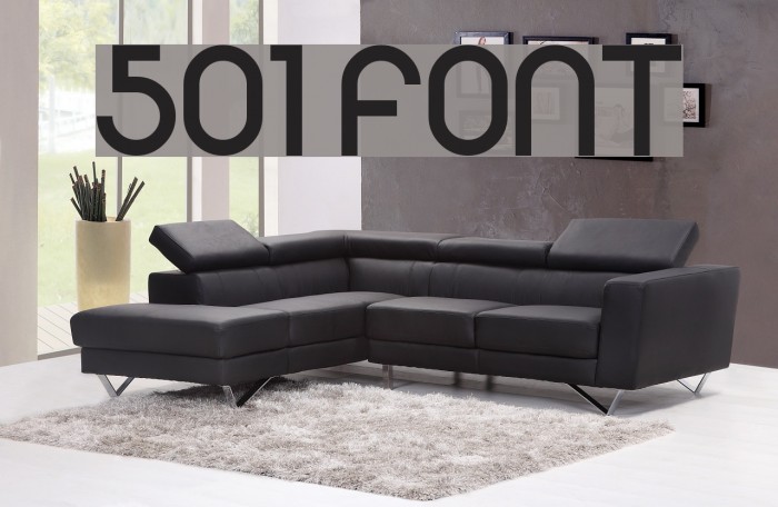 501 Font examples
