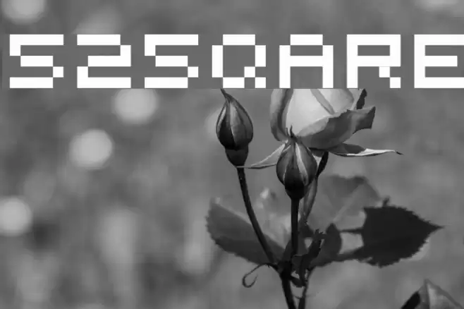 525square Font examples