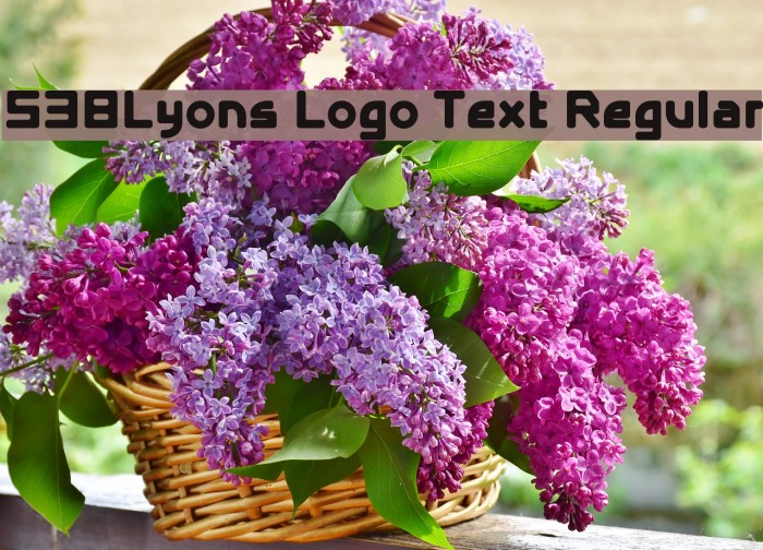 538Lyons Logo Text Regular Font examples