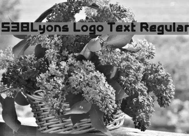 538Lyons Logo Text Regular Font examples