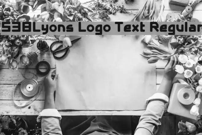 538Lyons Logo Text Regular Font examples