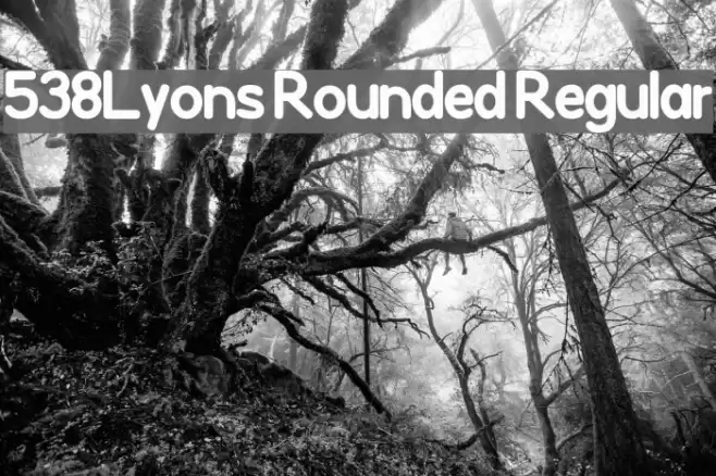 538Lyons Rounded Regular Font examples