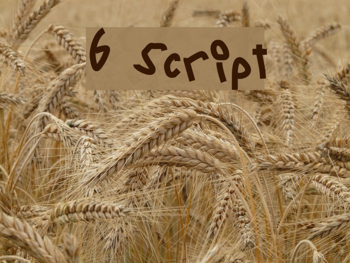 6 Script Font examples