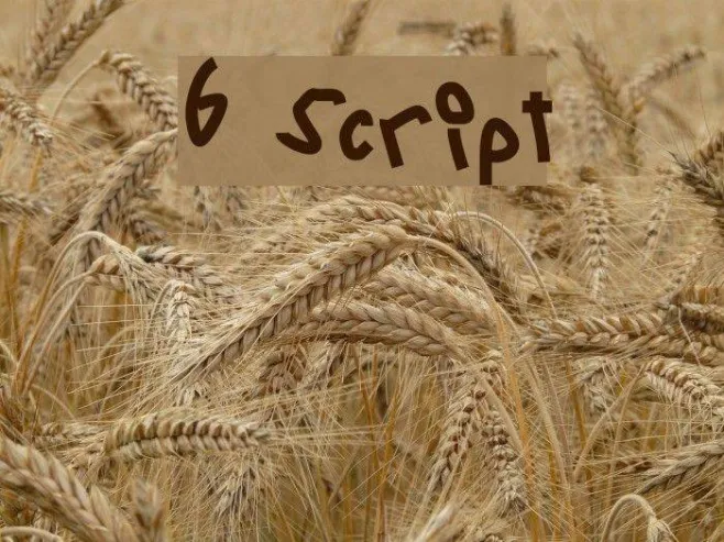 6 Script Example 3