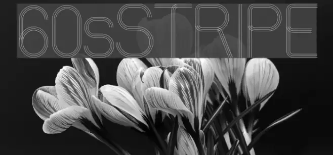 60sSTRIPE Шрифта examples