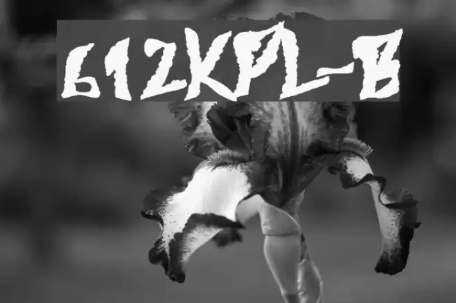 612KosheyPL-Bold Caratteri examples