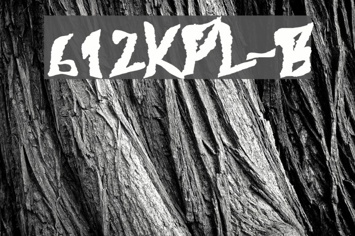 612KosheyPL-Bold Caratteri examples