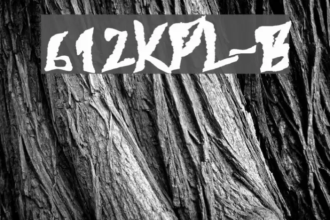 612KosheyPL-Bold Caratteri examples
