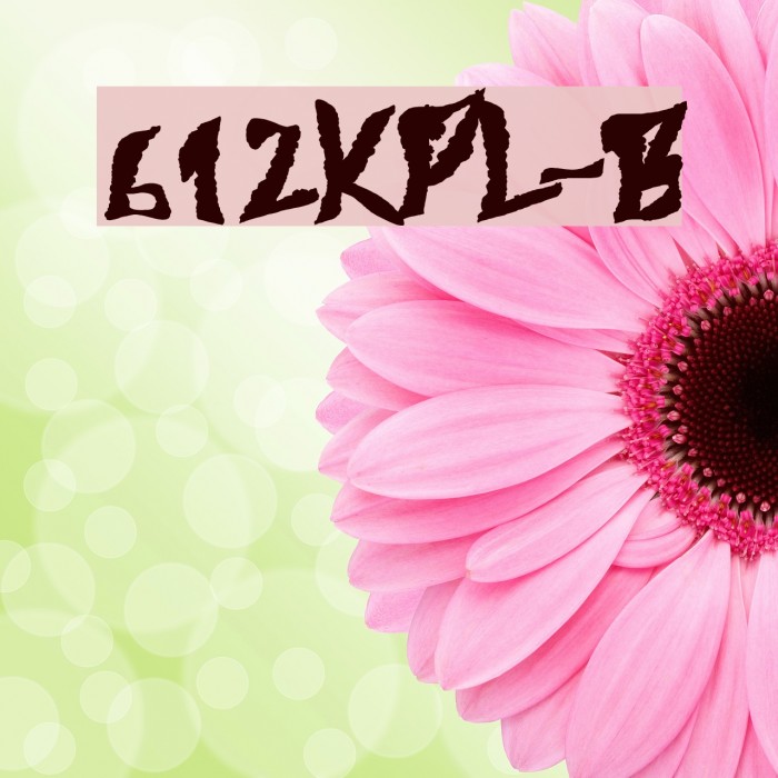 612KosheyPL-Bold Caratteri examples