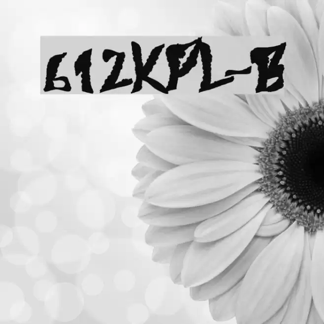 612KosheyPL-Bold Caratteri examples
