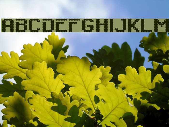 6809chargen Font examples
