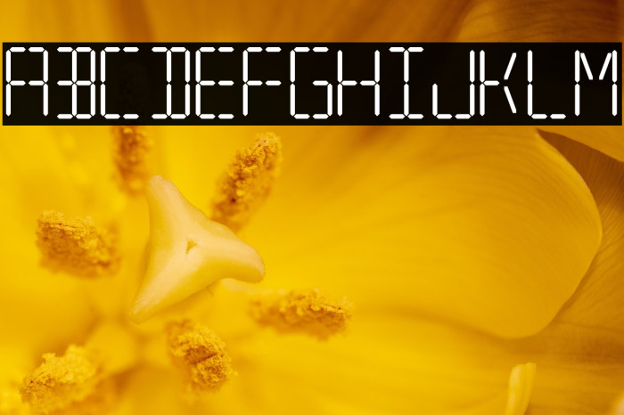 7 SEGMENTAL DIGITAL DISPLAY Example 1