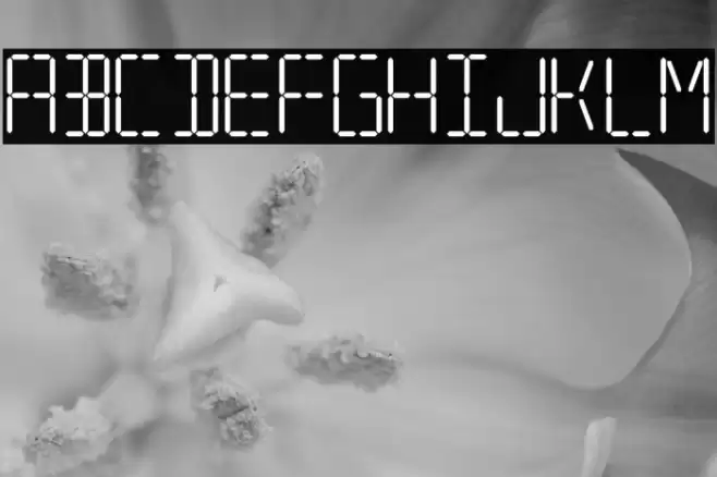 7 SEGMENTAL DIGITAL DISPLAY Шрифта examples