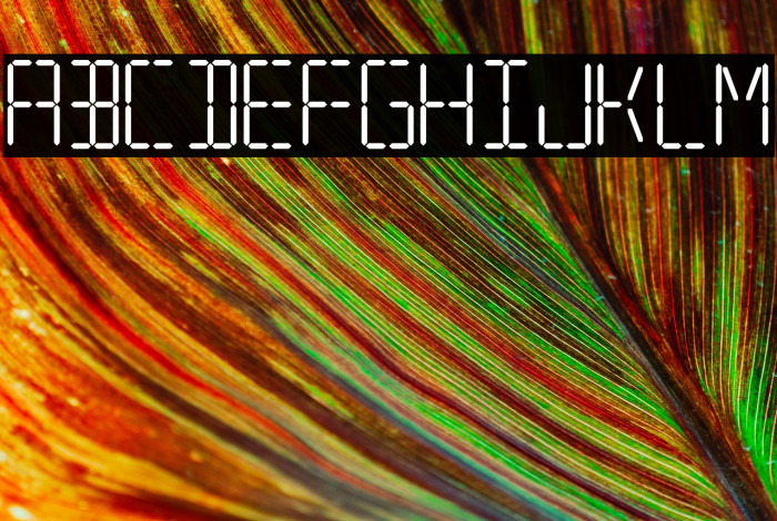 7 SEGMENTAL DIGITAL DISPLAY Example 3