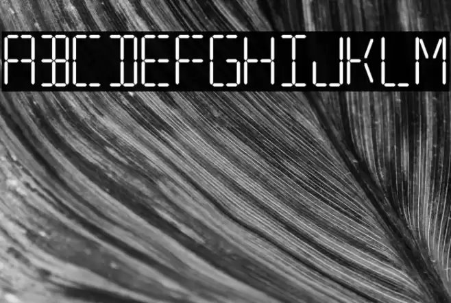 7 SEGMENTAL DIGITAL DISPLAY Шрифта examples