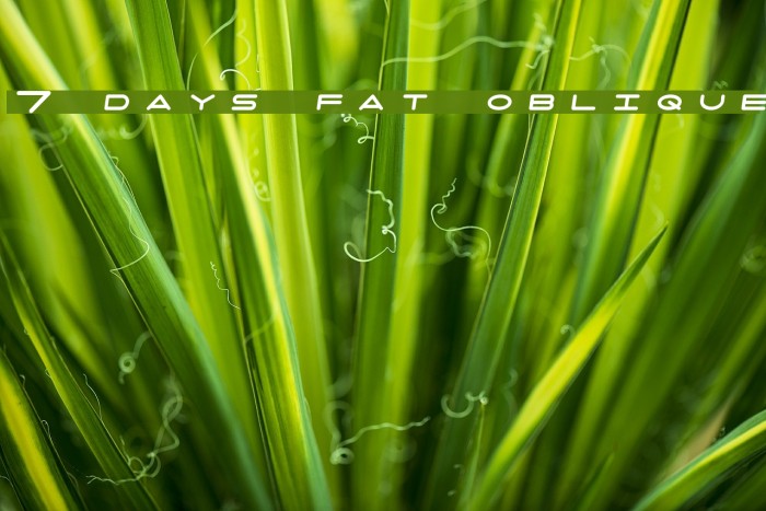 7 days fat oblique Caratteri examples
