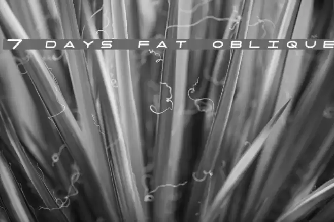 7 days fat oblique Caratteri examples