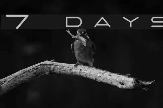 7 days Caratteri examples
