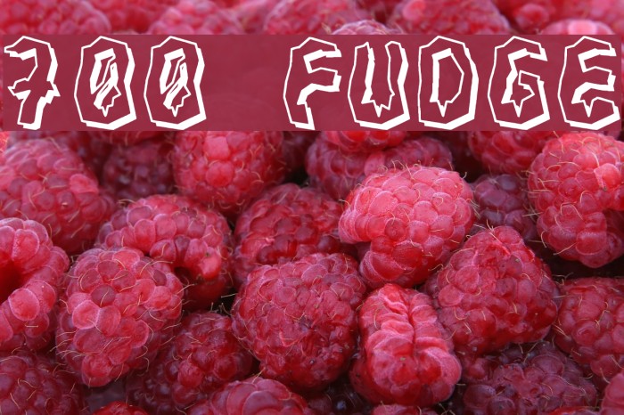 700 Fudge Font examples
