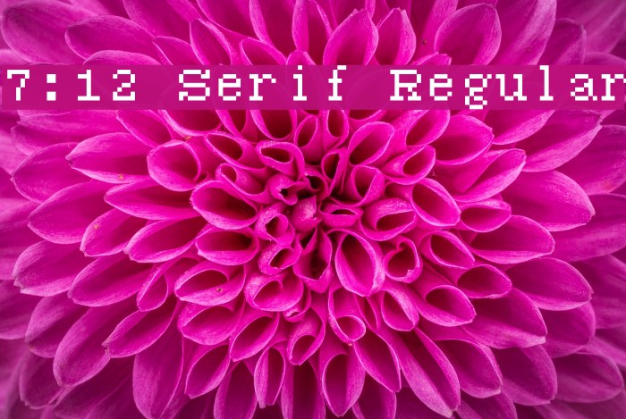 7:12 Serif Regular Polices examples
