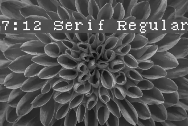 7:12 Serif Regular Font examples