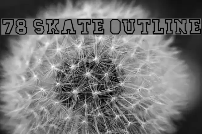 78 skate outline Font examples