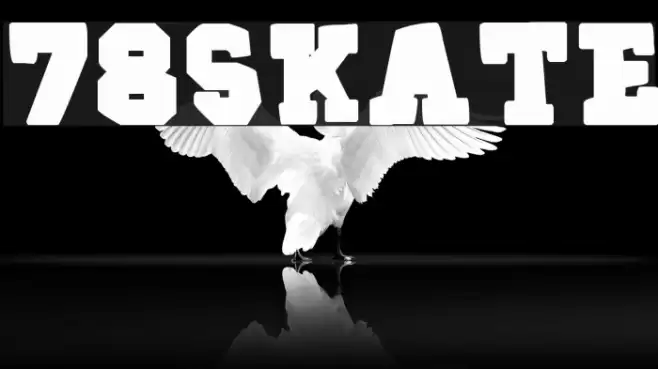 78SKATE Шрифта examples