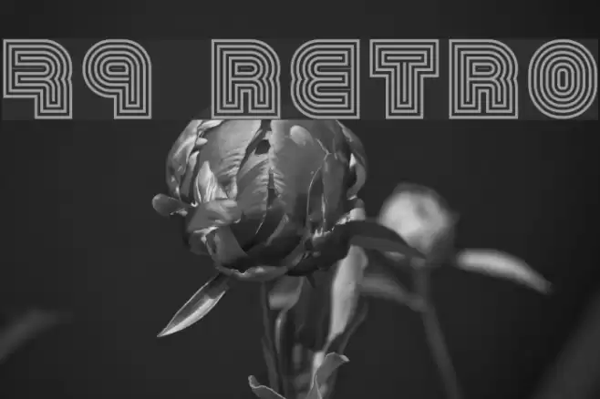 79 retro Font examples