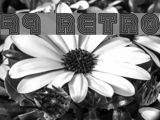 79 retro Font examples