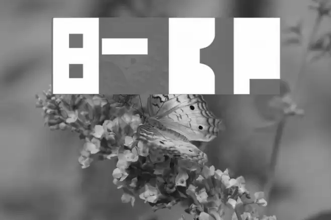 8-bit Block Party 字体 examples