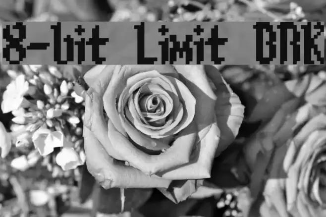8-bit Limit BRK Fonte examples