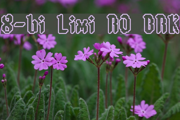 8-bit Limit RO [BRK] Font examples