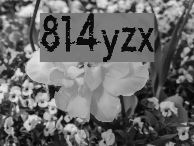 814yzx Font examples